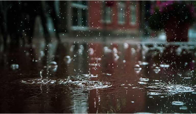 rain drops