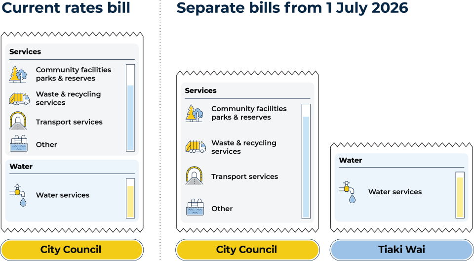 Tiaki Wai and city council two bills illustration