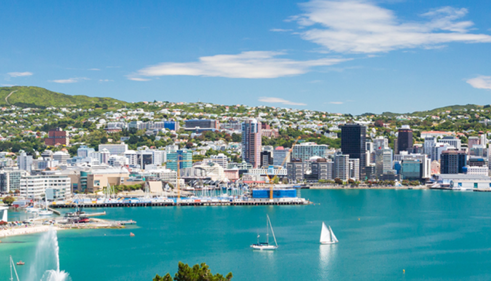 wellington harbour banner